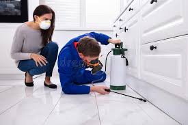 Best Fumigation Services  in Wilkesboro, NC